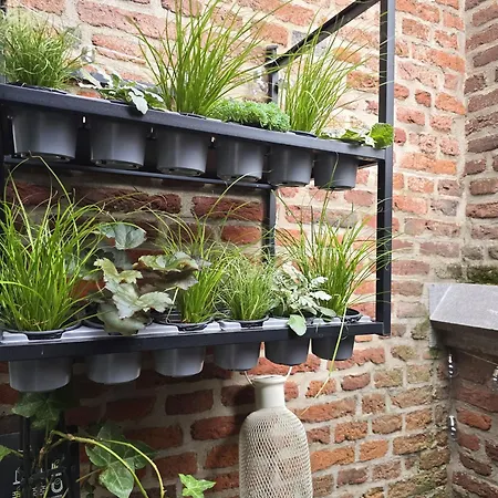 Loft Centre 5 Apartment *